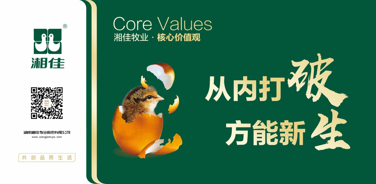 湘佳1.jpg