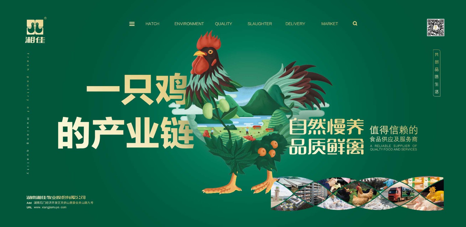 湘佳5.jpg